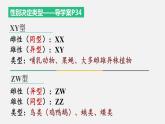 2.3 伴性遗传 课件【新教材】2020-2021学年高一生物人教版（2019）必修二