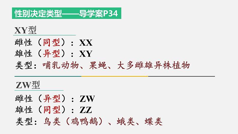 2.3 伴性遗传 课件【新教材】2020-2021学年高一生物人教版（2019）必修二第5页