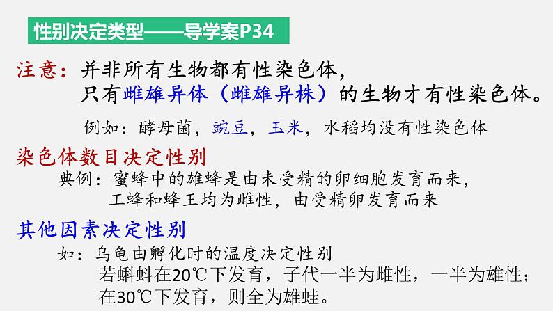 2.3 伴性遗传 课件【新教材】2020-2021学年高一生物人教版（2019）必修二第6页