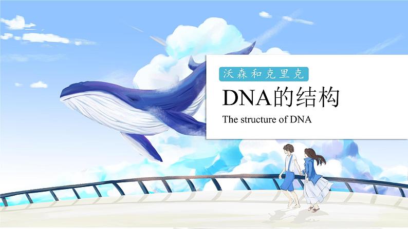 3.2 DNA的结构 课件【新教材】2020-2021学年高一生物人教版（2019）必修二01