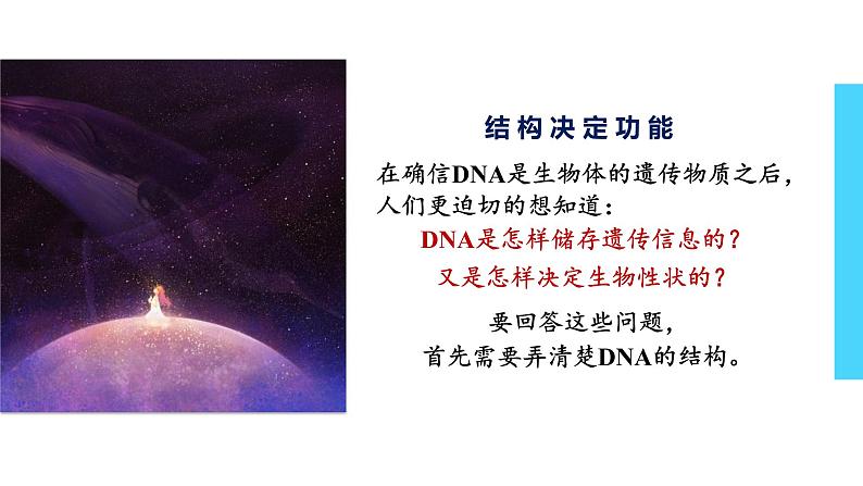 3.2 DNA的结构 课件【新教材】2020-2021学年高一生物人教版（2019）必修二03