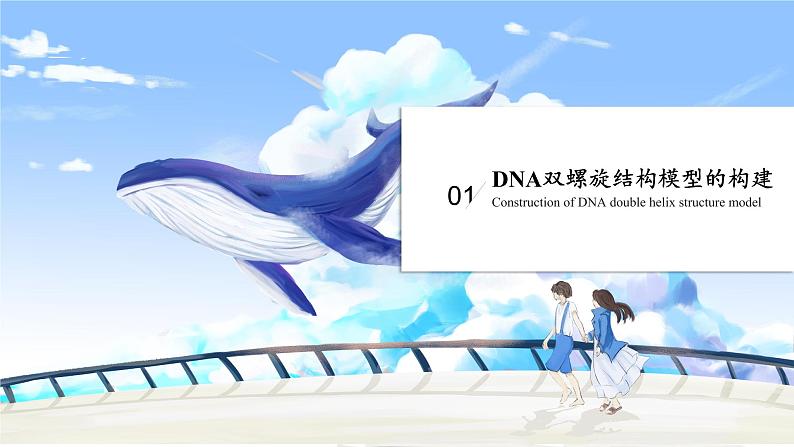 3.2 DNA的结构 课件【新教材】2020-2021学年高一生物人教版（2019）必修二04