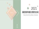 4.1 基因指导蛋白质的合成  课件【新教材】2020-2021学年高一生物人教版（2019）必修二