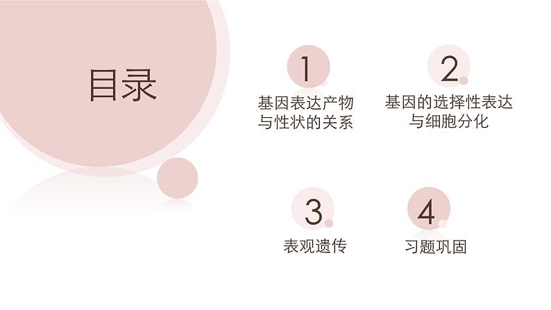 4.2 基因表达与性状的关系  课件【新教材】2020-2021学年高一生物人教版（2019）必修二第2页