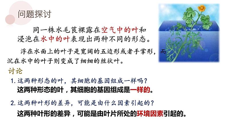 4.2 基因表达与性状的关系  课件【新教材】2020-2021学年高一生物人教版（2019）必修二第3页