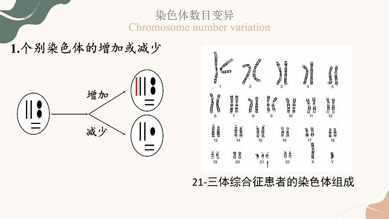 5.2 染色体变异 课件【新教材】2020-2021学年高一生物人教版（2019）必修二第7页