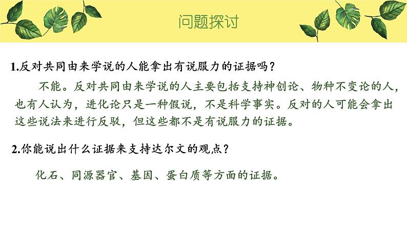 6.1 生物有共同祖先的证据 课件【新教材】2020-2021学年高一生物人教版（2019）必修二04