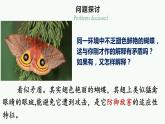 6.2 自然选择与适应的形成 课件【新教材】2020-2021学年高一生物人教版（2019）必修二