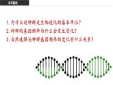 6.3 种群基因组成的变化 课件【新教材】2020-2021学年高一生物人教版（2019）必修二