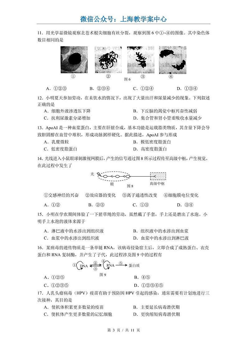 2022届宝山区高考生物一模 含答案练习题第3页