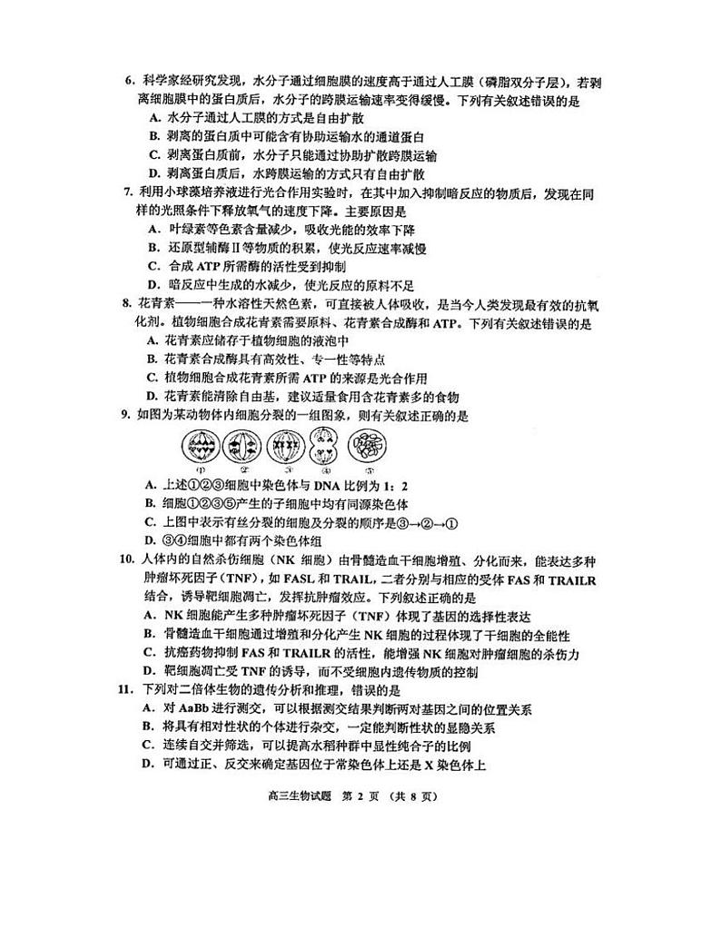 吉林省吉林市普通中学2021-2022学年高三上学期毕业班第二次调研测试生物试卷02