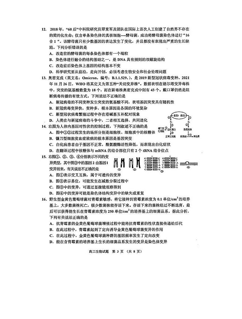 吉林省吉林市普通中学2021-2022学年高三上学期毕业班第二次调研测试生物试卷03