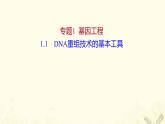 高中生物专题1基因工程1DNA重组技术的基本工具课件新人教版选修3