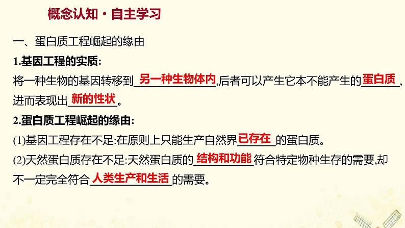 高中生物专题1基因工程4蛋白质工程的崛起课件新人教版选修3第3页