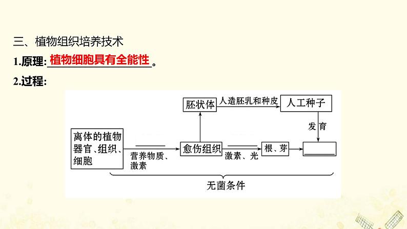 高中生物专题2细胞工程1.1植物细胞工程的基本技术课件新人教版选修3第5页