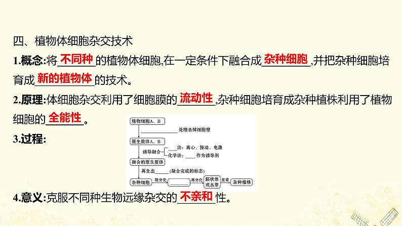 高中生物专题2细胞工程1.1植物细胞工程的基本技术课件新人教版选修3第7页