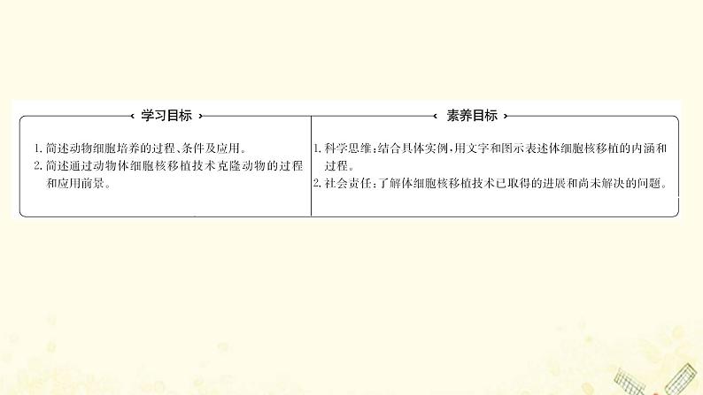 高中生物专题2细胞工程2.1动物细胞培养和核移植技术课件新人教版选修302