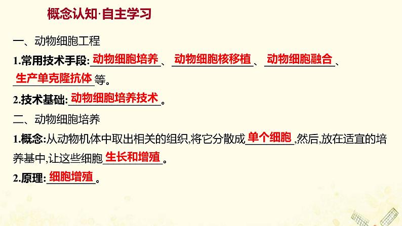 高中生物专题2细胞工程2.1动物细胞培养和核移植技术课件新人教版选修303