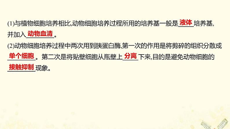 高中生物专题2细胞工程2.1动物细胞培养和核移植技术课件新人教版选修305