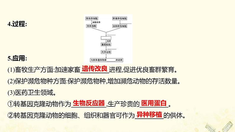 高中生物专题2细胞工程2.1动物细胞培养和核移植技术课件新人教版选修308