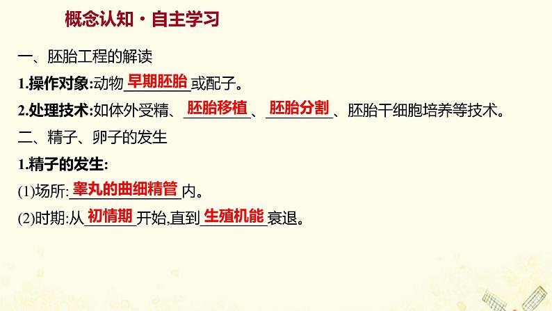 高中生物专题3胚胎工程1体内受精和早期胚胎发育课件新人教版选修303