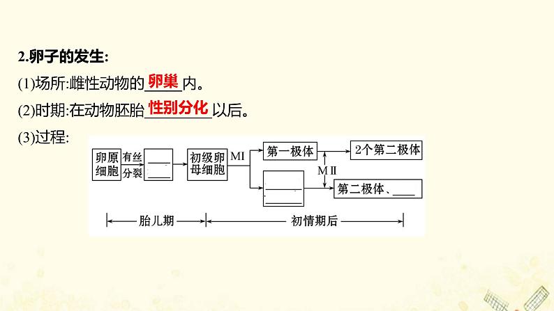 高中生物专题3胚胎工程1体内受精和早期胚胎发育课件新人教版选修305