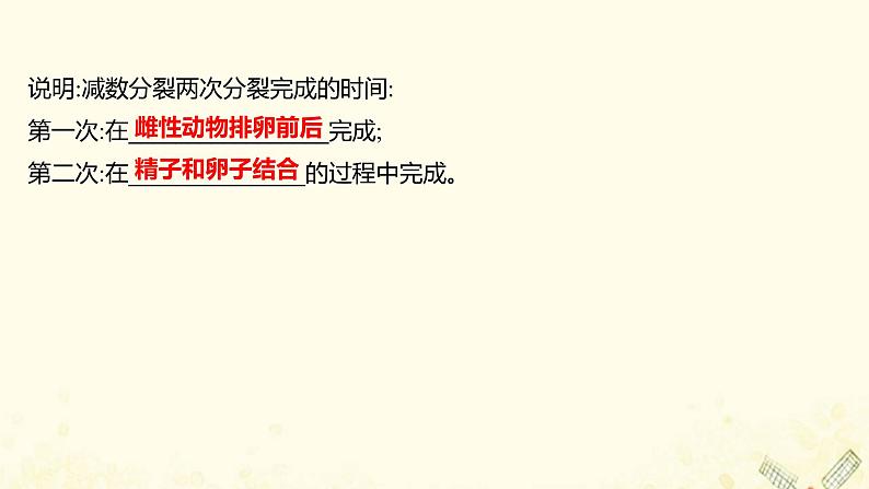 高中生物专题3胚胎工程1体内受精和早期胚胎发育课件新人教版选修306