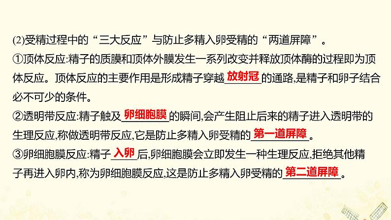 高中生物专题3胚胎工程1体内受精和早期胚胎发育课件新人教版选修308