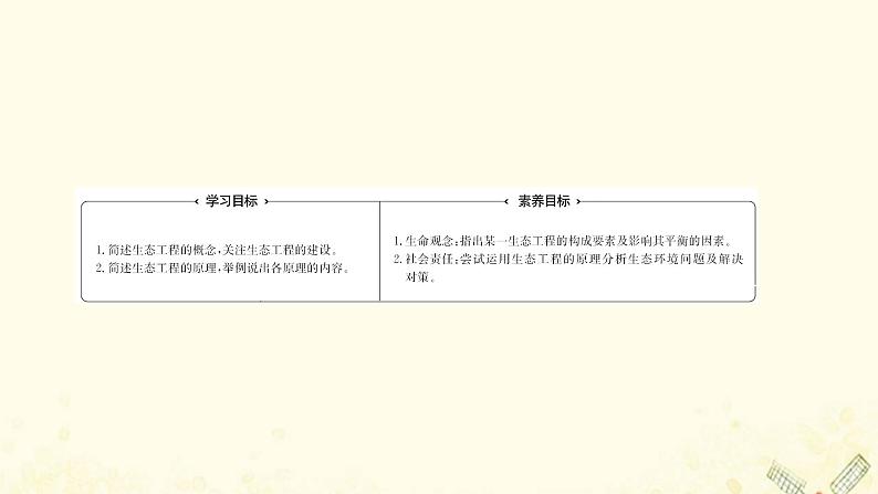 高中生物专题5生态工程1生态工程的基本原理课件新人教版选修3第2页