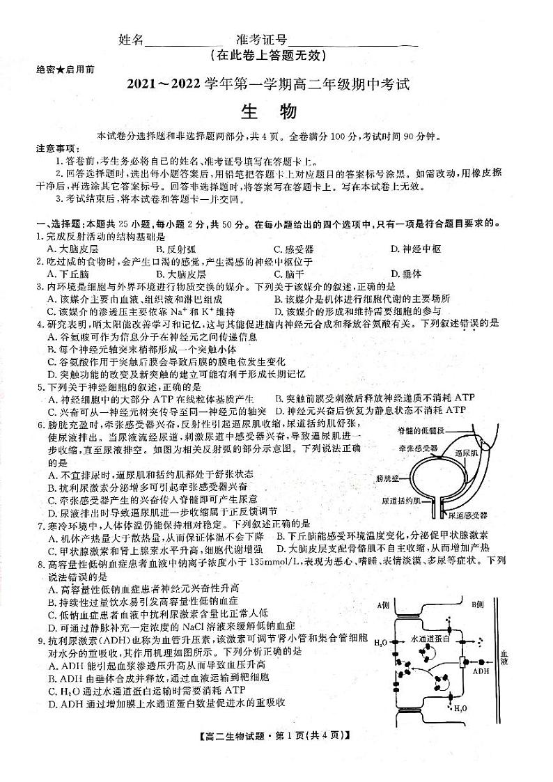 2021-2022学年陕西省安康市高二上学期期中联考生物试题 pdf版01