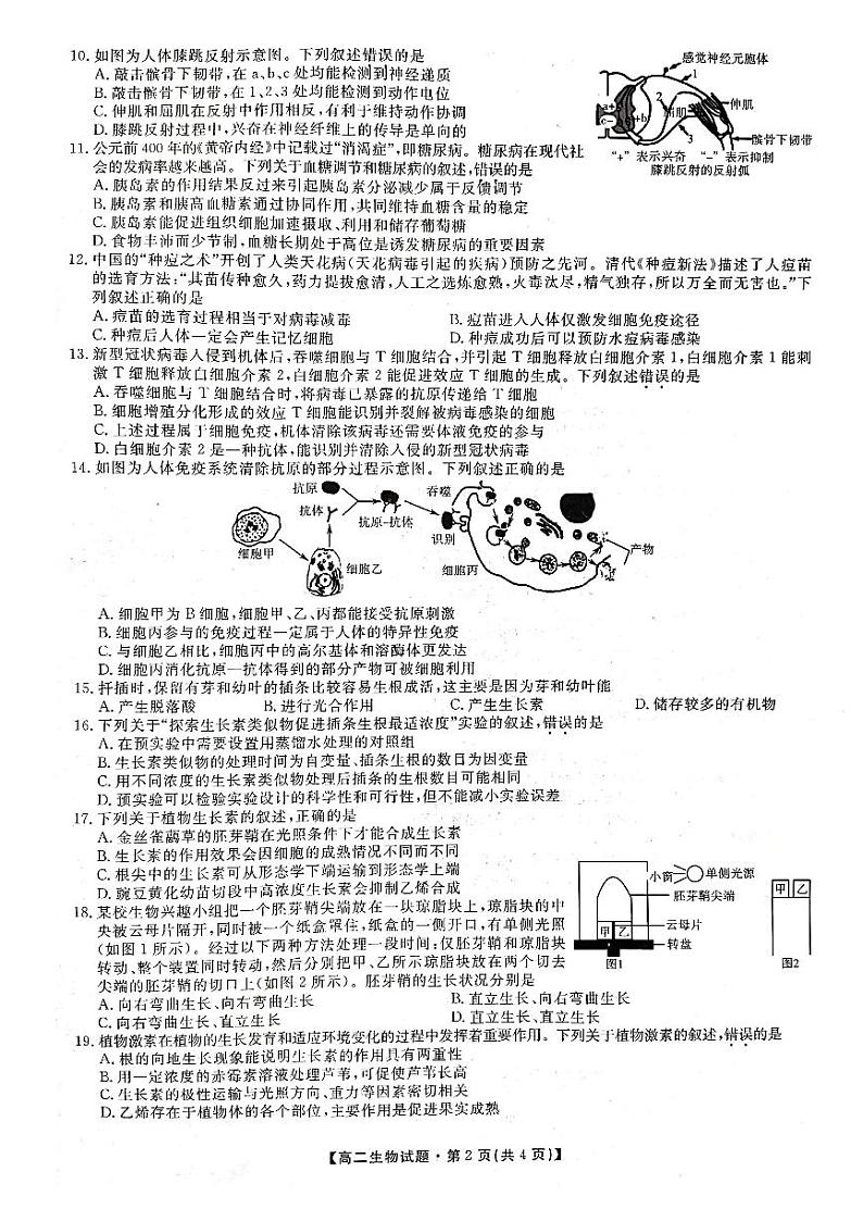 2021-2022学年陕西省安康市高二上学期期中联考生物试题 pdf版02