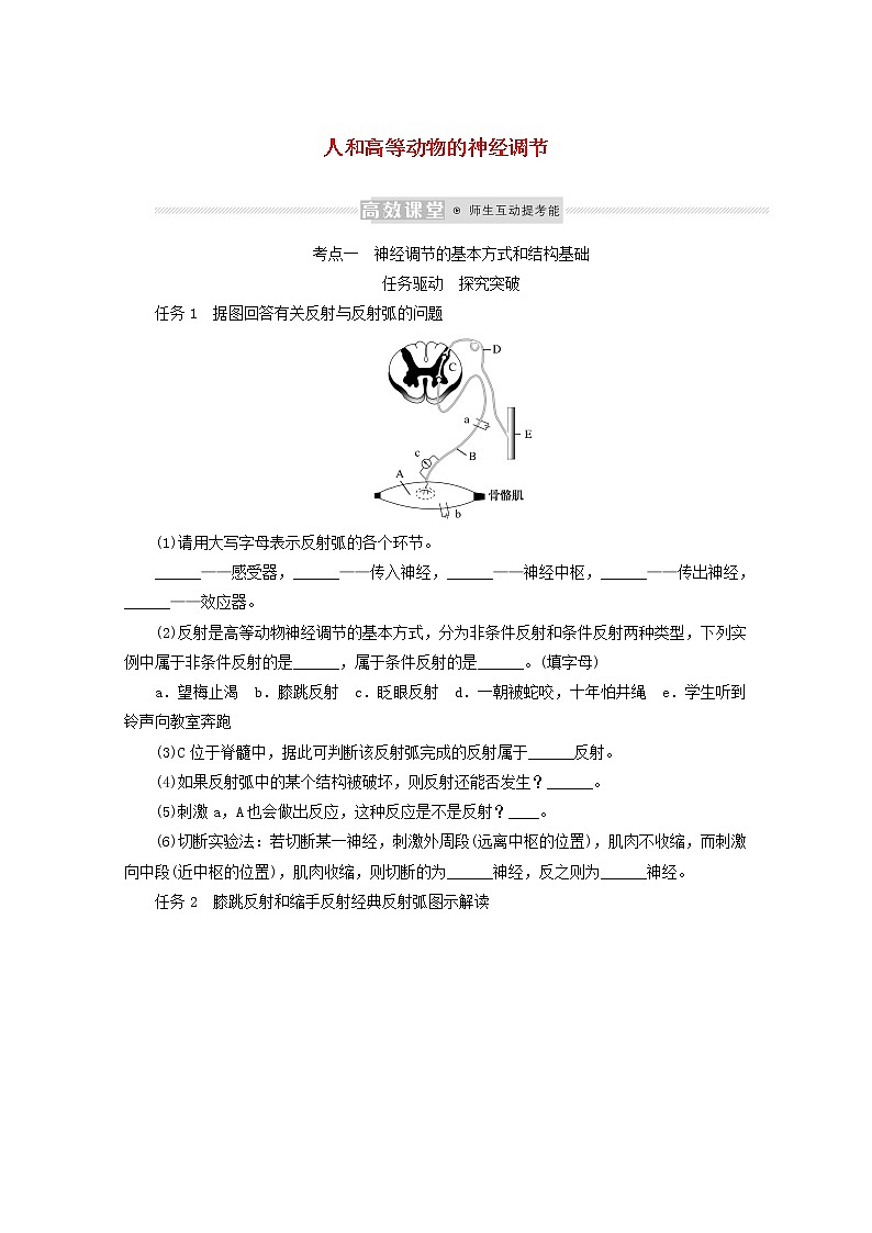 新教材高考生物一轮复习第一单元人和高等动物生命活动的调节2人和高等动物的神经调节学案选择性必修101