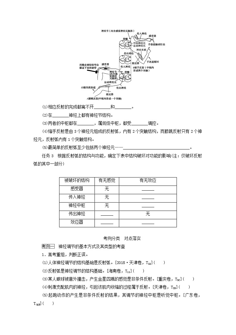 新教材高考生物一轮复习第一单元人和高等动物生命活动的调节2人和高等动物的神经调节学案选择性必修102