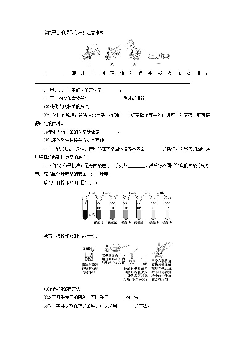 新教材高考生物一轮复习第一单元生物技术与实践1微生物的培养和利用学案选择性必修3第2页