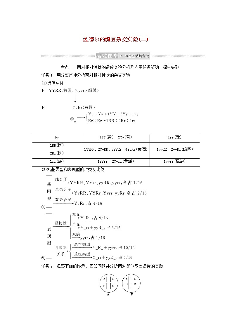 新教材高考生物一轮复习第一单元遗传的基本规律2孟德尔的豌豆杂交实验二学案必修2第1页