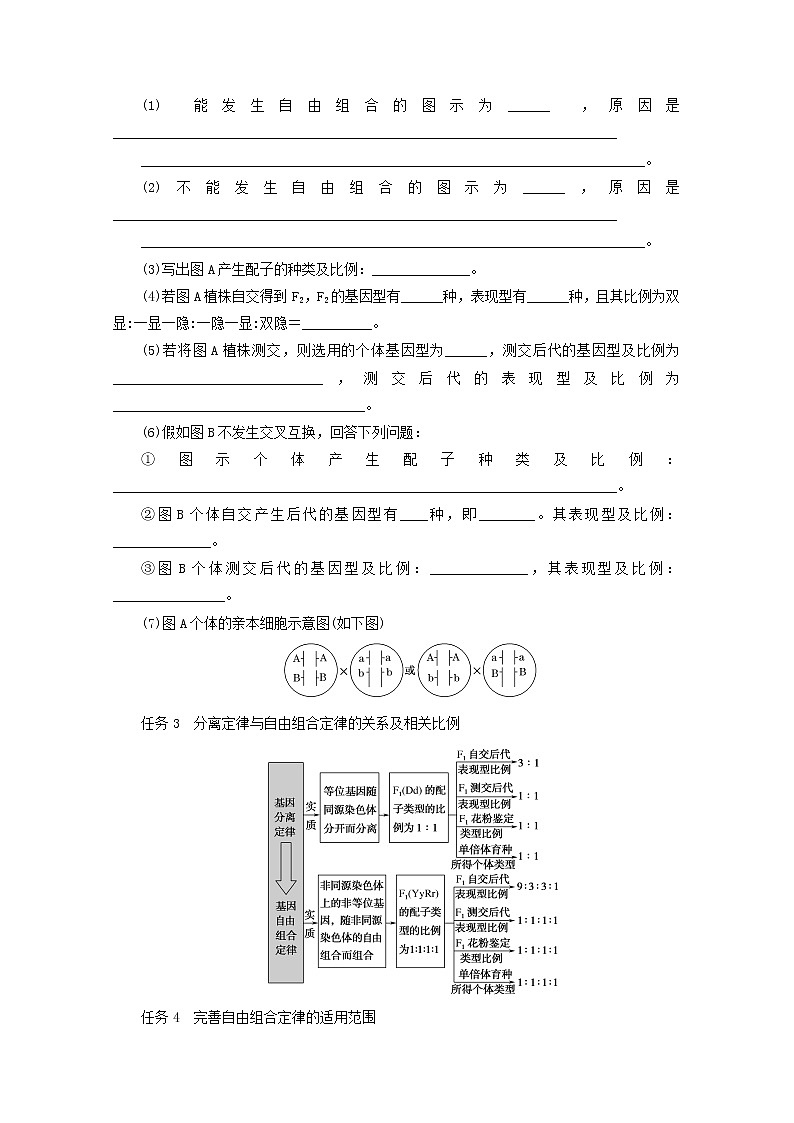 新教材高考生物一轮复习第一单元遗传的基本规律2孟德尔的豌豆杂交实验二学案必修2第2页