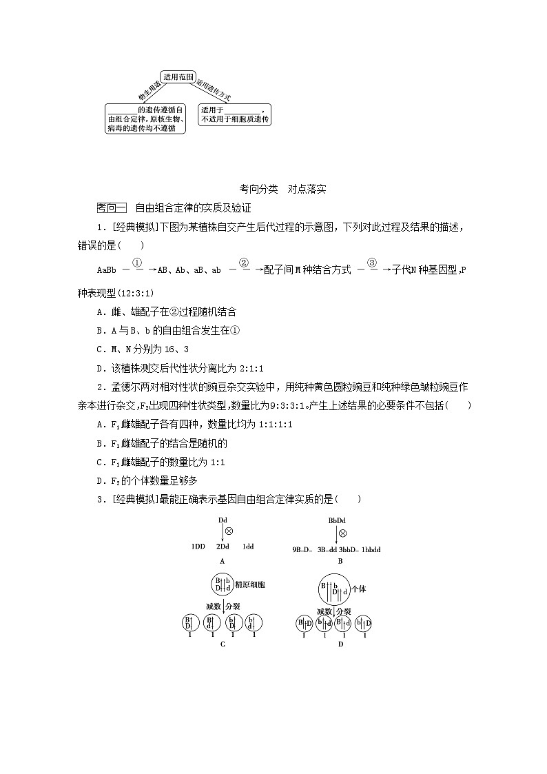 新教材高考生物一轮复习第一单元遗传的基本规律2孟德尔的豌豆杂交实验二学案必修2第3页
