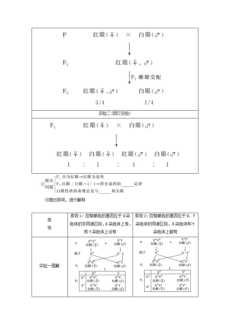 新教材高考生物一轮复习第一单元遗传的基本规律3基因在染色体上伴性遗传学案必修202