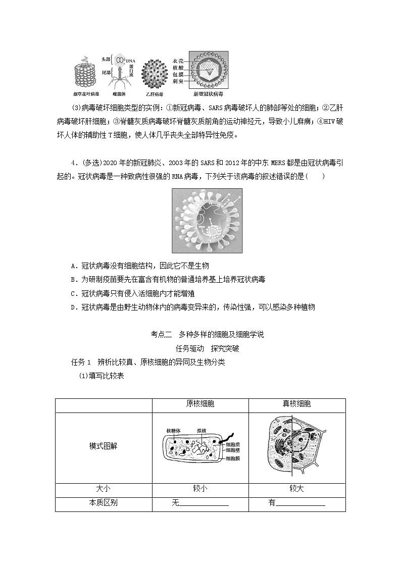 新教材高考生物一轮复习第一单元走近细胞及组成细胞的分子1借助显微镜走近细胞学案必修1第3页