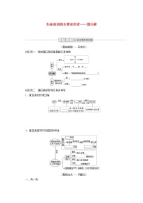 新教材高考生物一轮复习第一单元走近细胞及组成细胞的分子3生命活动的主要承担者__蛋白质课前学案必修1