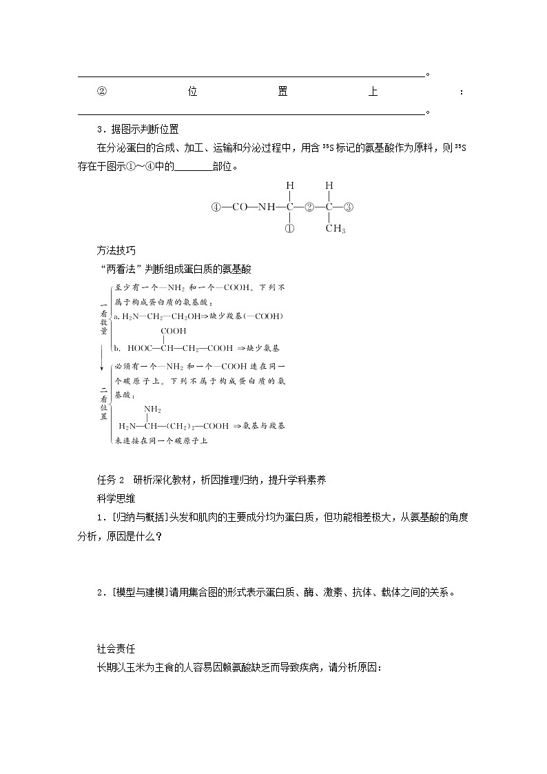 新教材高考生物一轮复习第一单元走近细胞及组成细胞的分子3生命活动的主要承担者__蛋白质学案必修1第2页