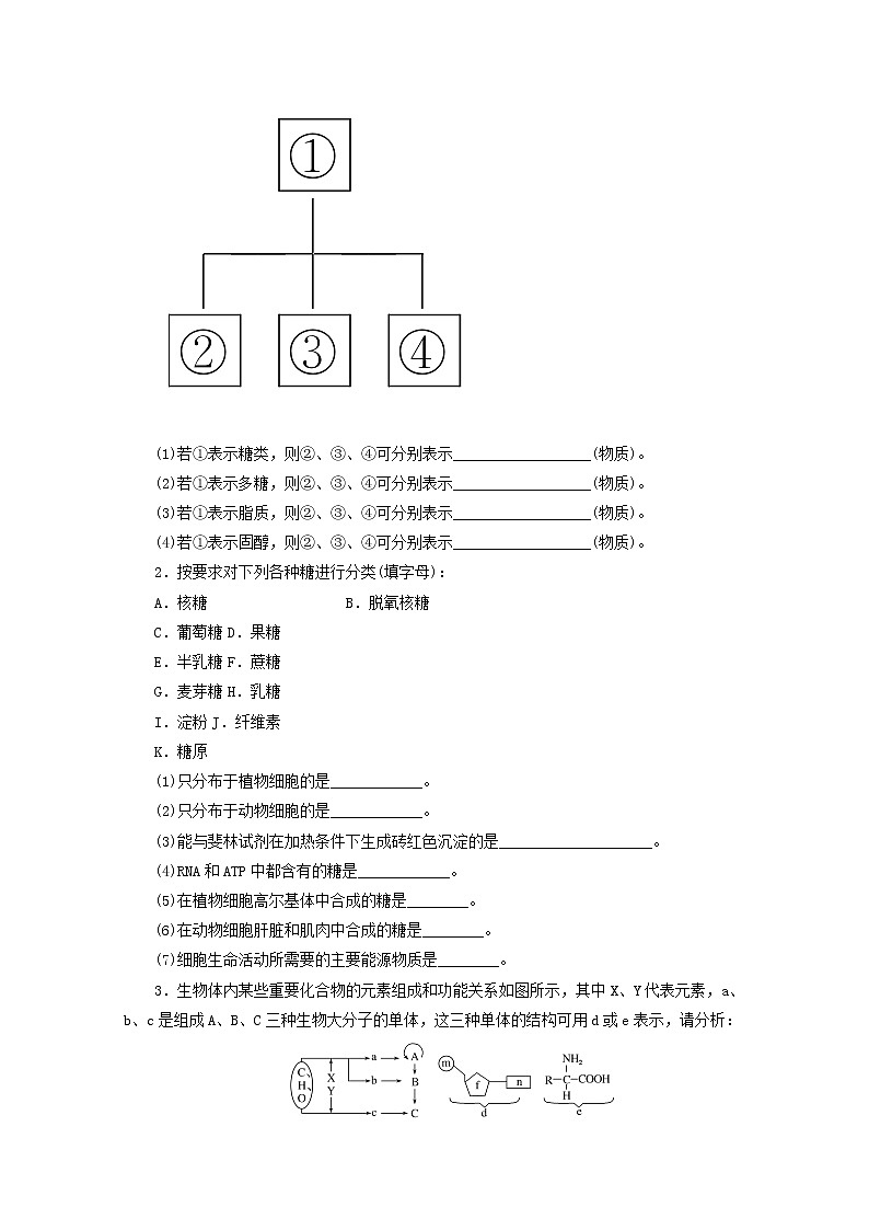新教材高考生物一轮复习第一单元走近细胞及组成细胞的分子4核酸是遗传信息的携带者细胞中的糖类和脂质课前学案必修1第3页