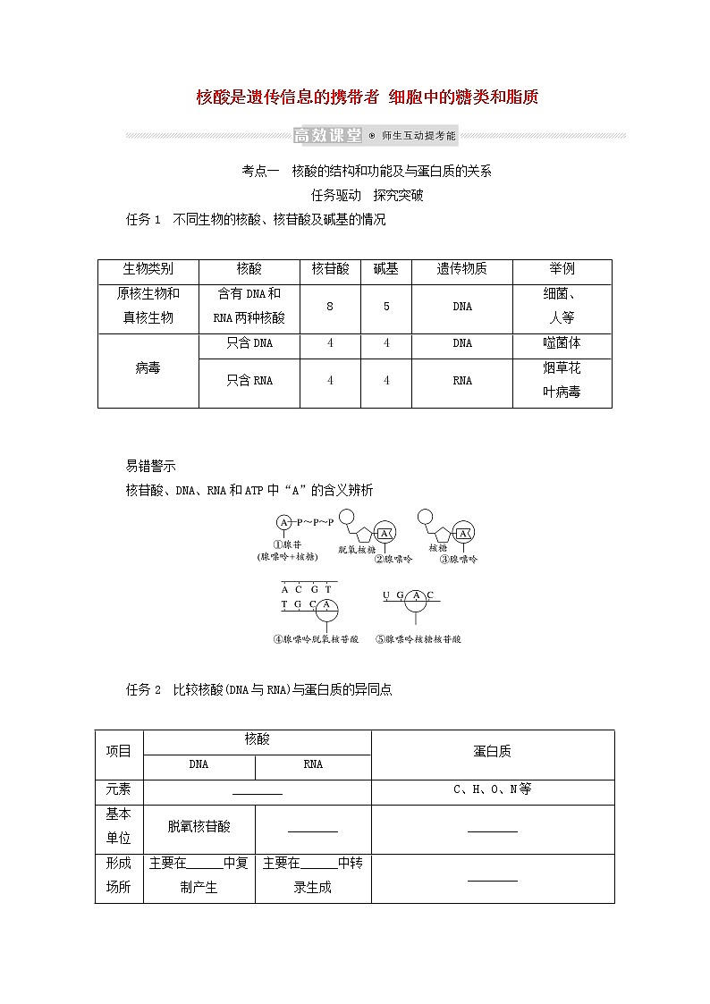 新教材高考生物一轮复习第一单元走近细胞及组成细胞的分子4核酸是遗传信息的携带者细胞中的糖类和脂质学案必修1第1页