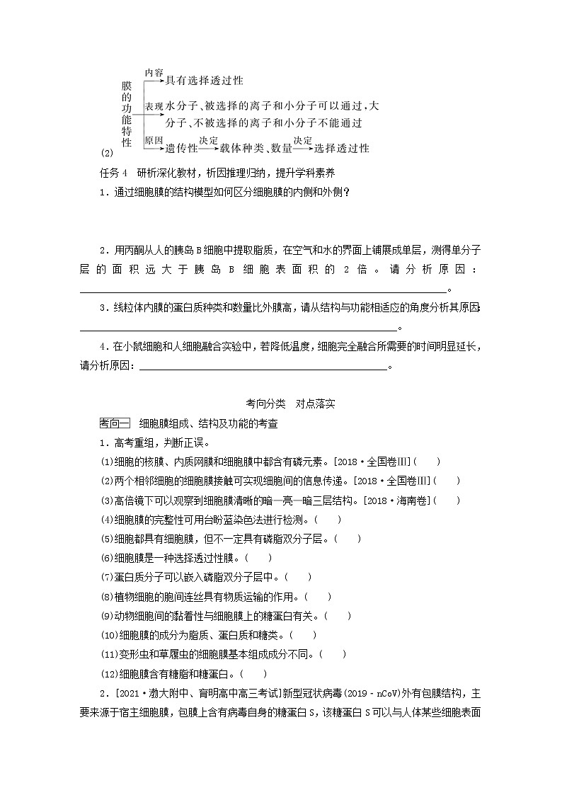 新教材高考生物一轮复习第二单元细胞的基本结构和物质运输功能1细胞膜与细胞核学案必修1第3页