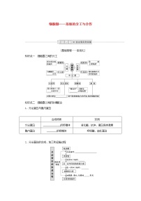 新教材高考生物一轮复习第二单元细胞的基本结构和物质运输功能2细胞器__系统的分工与合作课前学案必修1