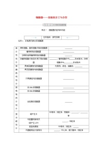 新教材高考生物一轮复习第二单元细胞的基本结构和物质运输功能2细胞器__系统的分工与合作学案必修1