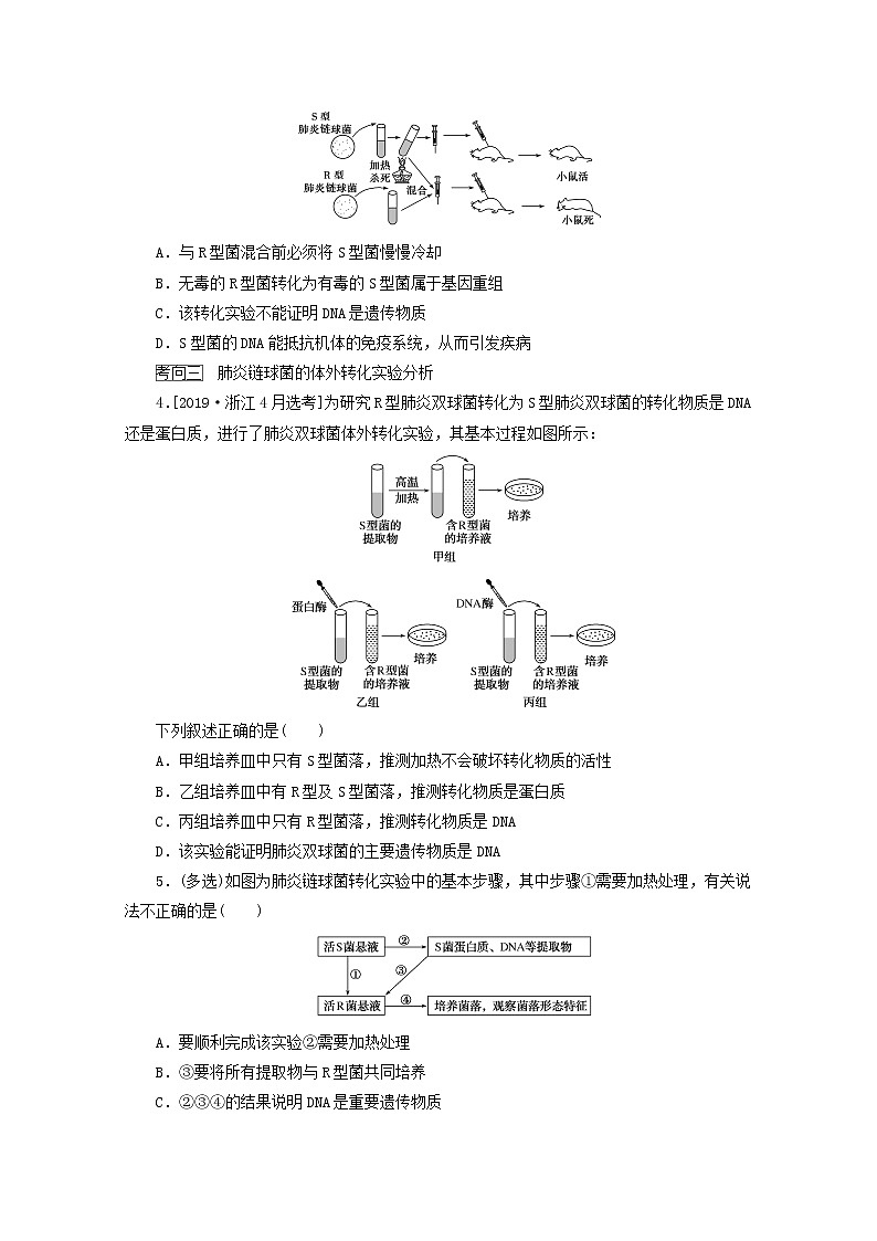 新教材高考生物一轮复习第二单元遗传的分子基础1遗传物质的经典探究实验学案必修2第3页