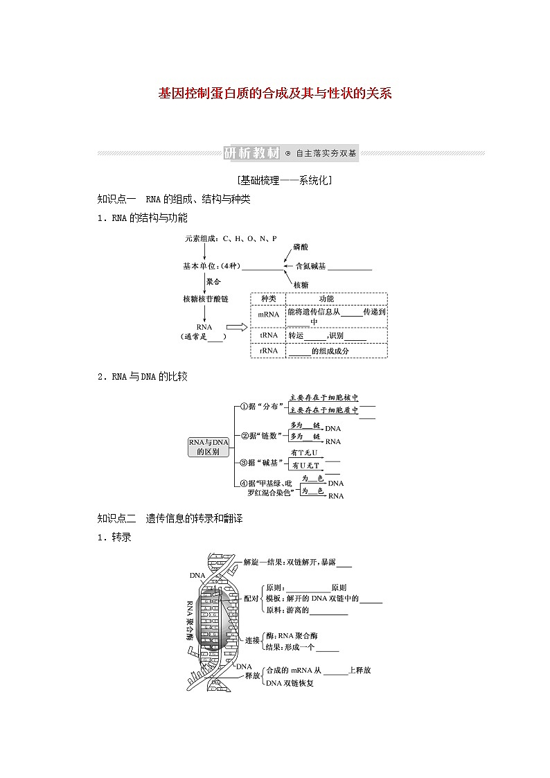 新教材高考生物一轮复习第二单元遗传的分子基础3基因控制蛋白质的合成及其与性状的关系课前学案必修201