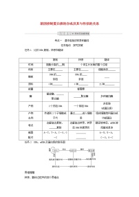 新教材高考生物一轮复习第二单元遗传的分子基础3基因控制蛋白质的合成及其与性状的关系学案必修2