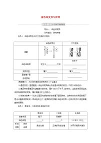 新教材高考生物一轮复习第三单元生物的变异育种与进化2染色体变异与育种学案必修2